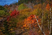 Fall colors in the White Mountains, NH